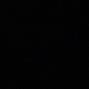 Meet your Posher, Sadie